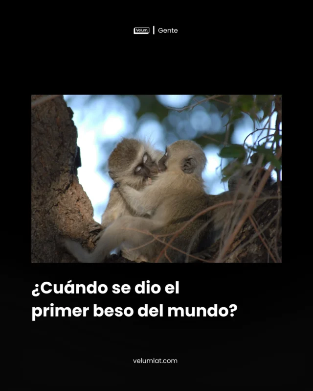 Según la ciencia, su origen podría estar millones de años más atrás, en un punto de la evolución donde nadie sabía lo que era un gesto… pero igual lo hacía. Muah. 

velumlat.com

#velum